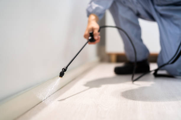 Bed Bug Pre-Treatment Preparation Assessment in Hillcrest Heights