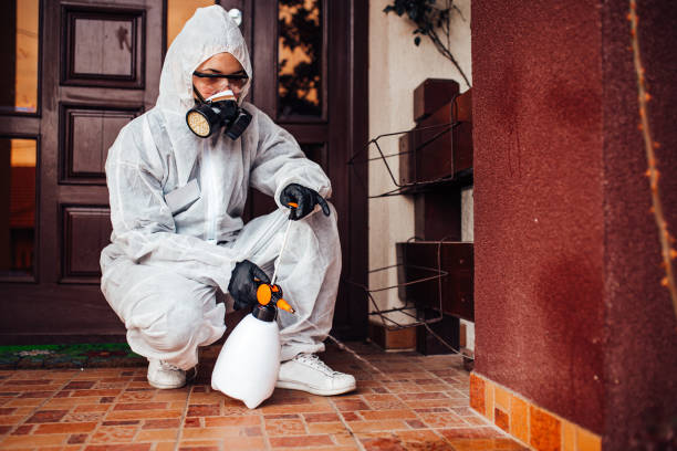 Multi-Unit and Airbnb Bed Bug Protocol in Hillcrest Heights