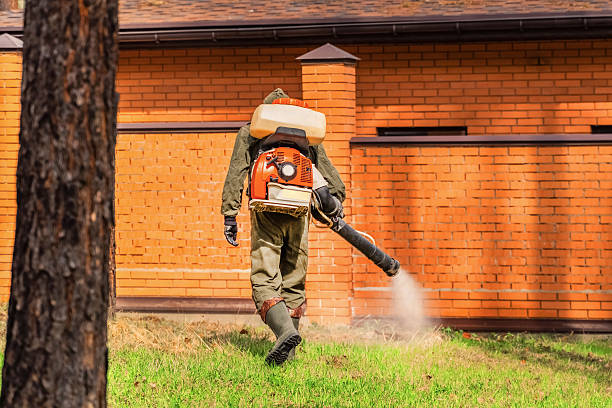 Bed Bug Clearance Verification and Documentation in Hillcrest Heights